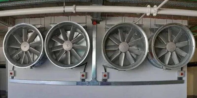 3. Improves Indoor Air Quality